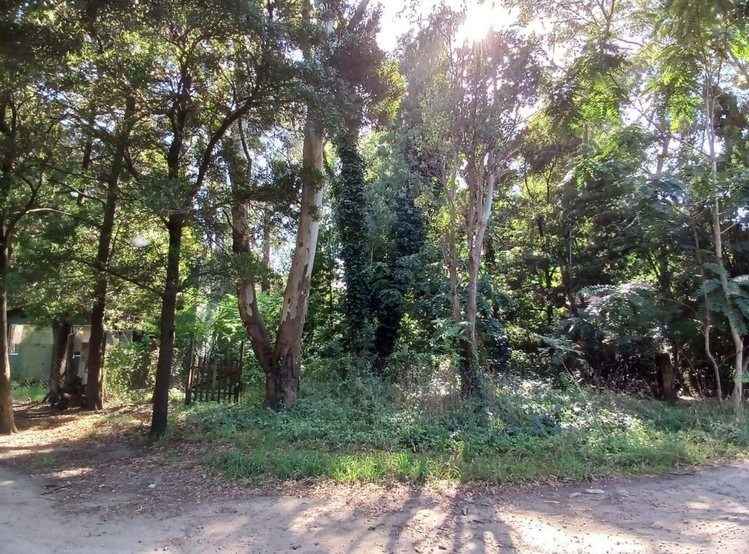 Foto de VENTA LOTE 450 M2 BOSQUE PERALTA RAMOS, imagen 2