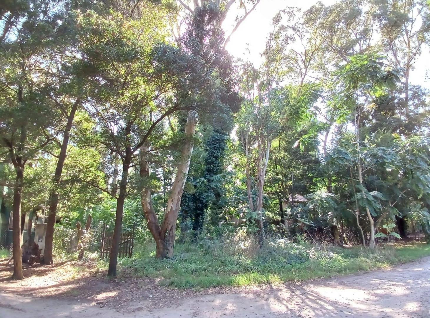 Foto de VENTA LOTE 450 M2 BOSQUE PERALTA RAMOS, imagen 4