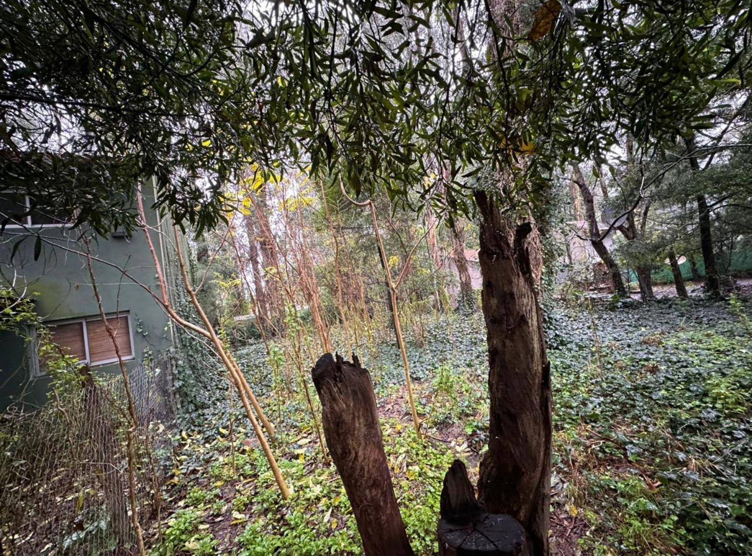 Foto de VENTA LOTE 450 M2 BOSQUE PERALTA RAMOS, imagen 3