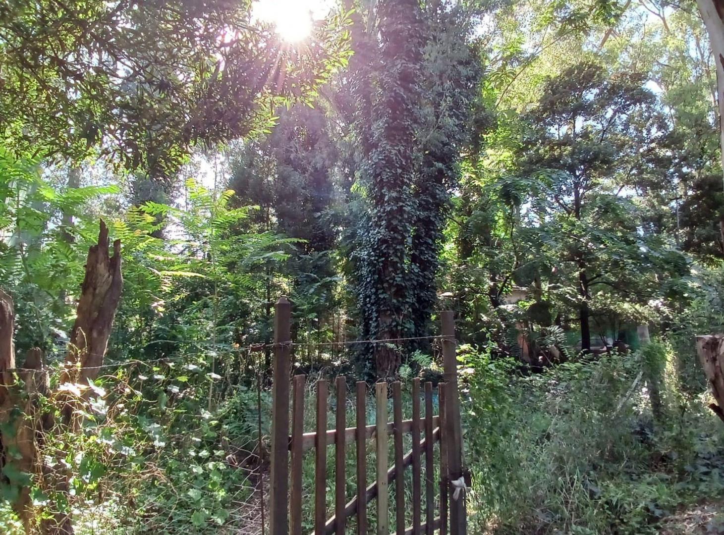 Foto de VENTA LOTE 450 M2 BOSQUE PERALTA RAMOS, imagen 5