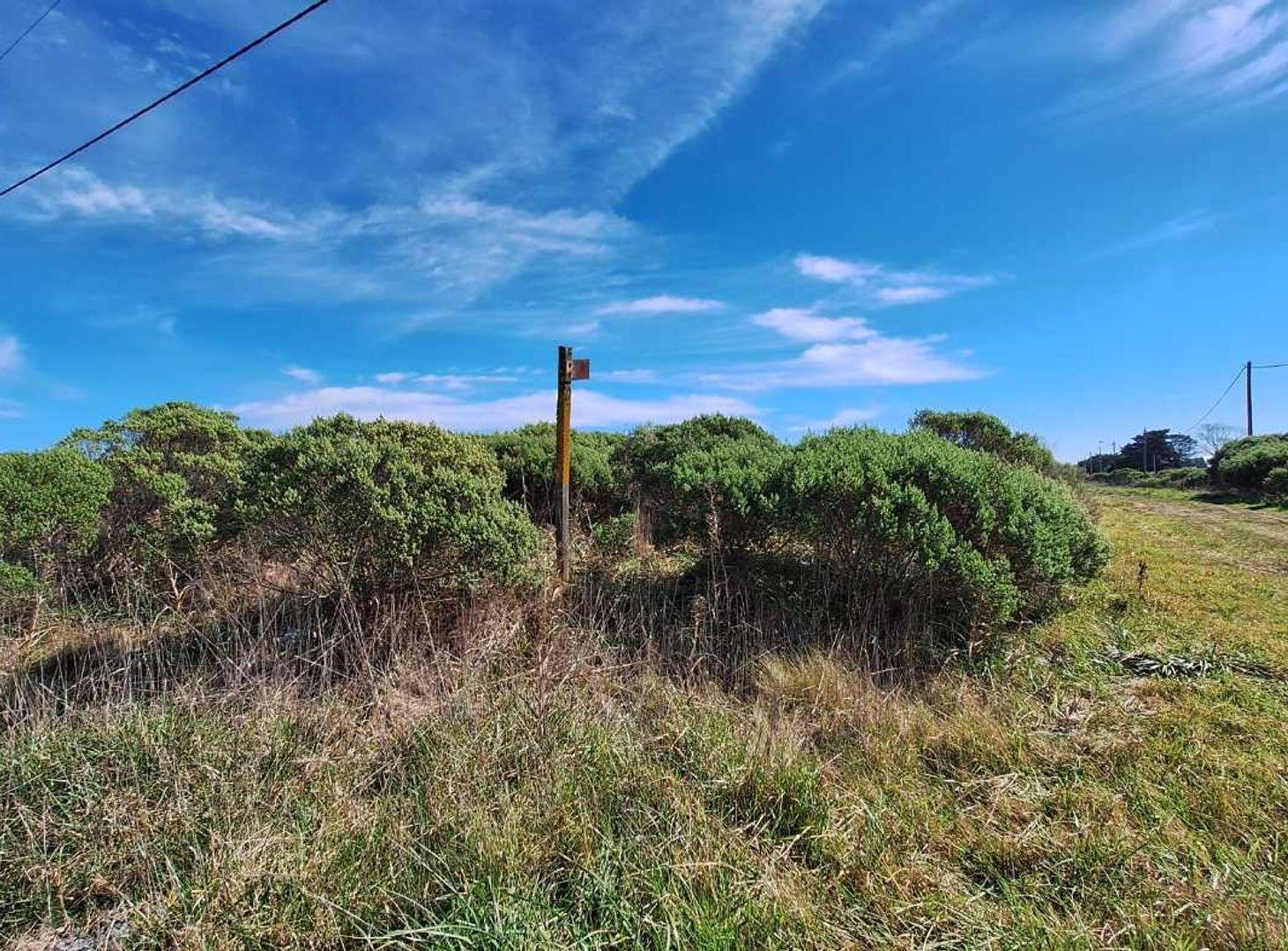 Foto de Venta tres terrenos lotes 1.556m2 S. Eduardo Chapa, imagen 2
