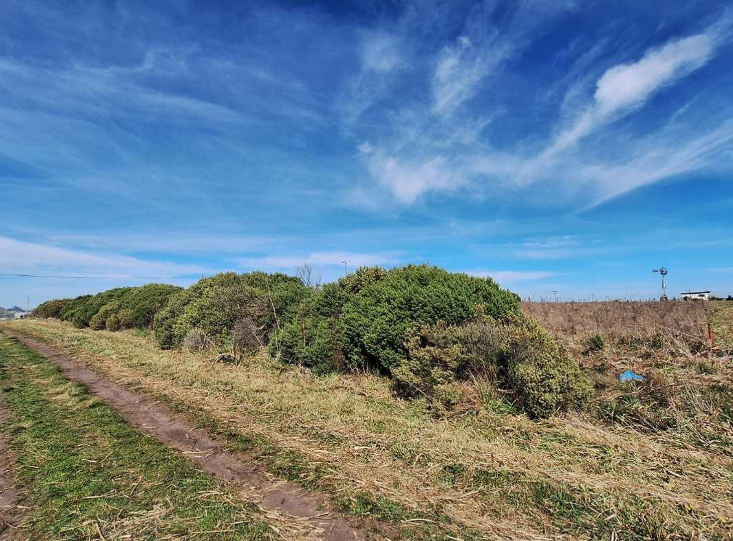 Foto de Venta tres terrenos lotes 1.556m2 S. Eduardo Chapa, imagen 3