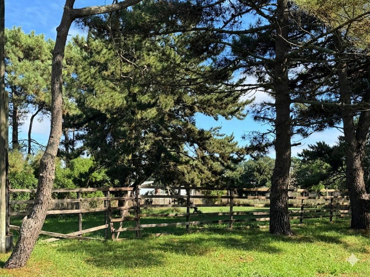 Foto de LOTE EN VENTA EN LA CALETA OPORTUNIDAD, imagen 1