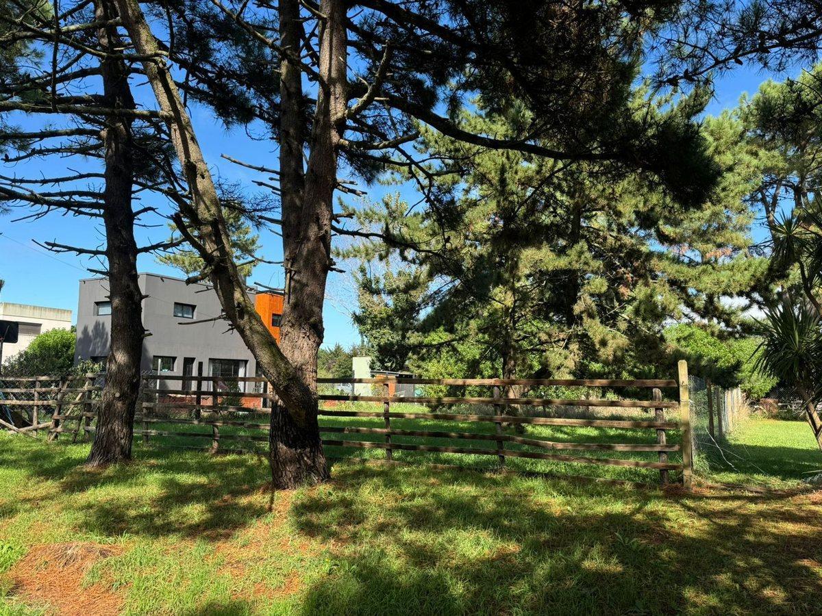 Foto de LOTE EN VENTA EN LA CALETA OPORTUNIDAD, imagen 4