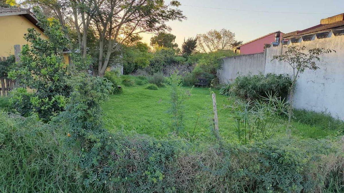 Foto de VENTA TERRENO 230M2 LOS TILOS, imagen 3