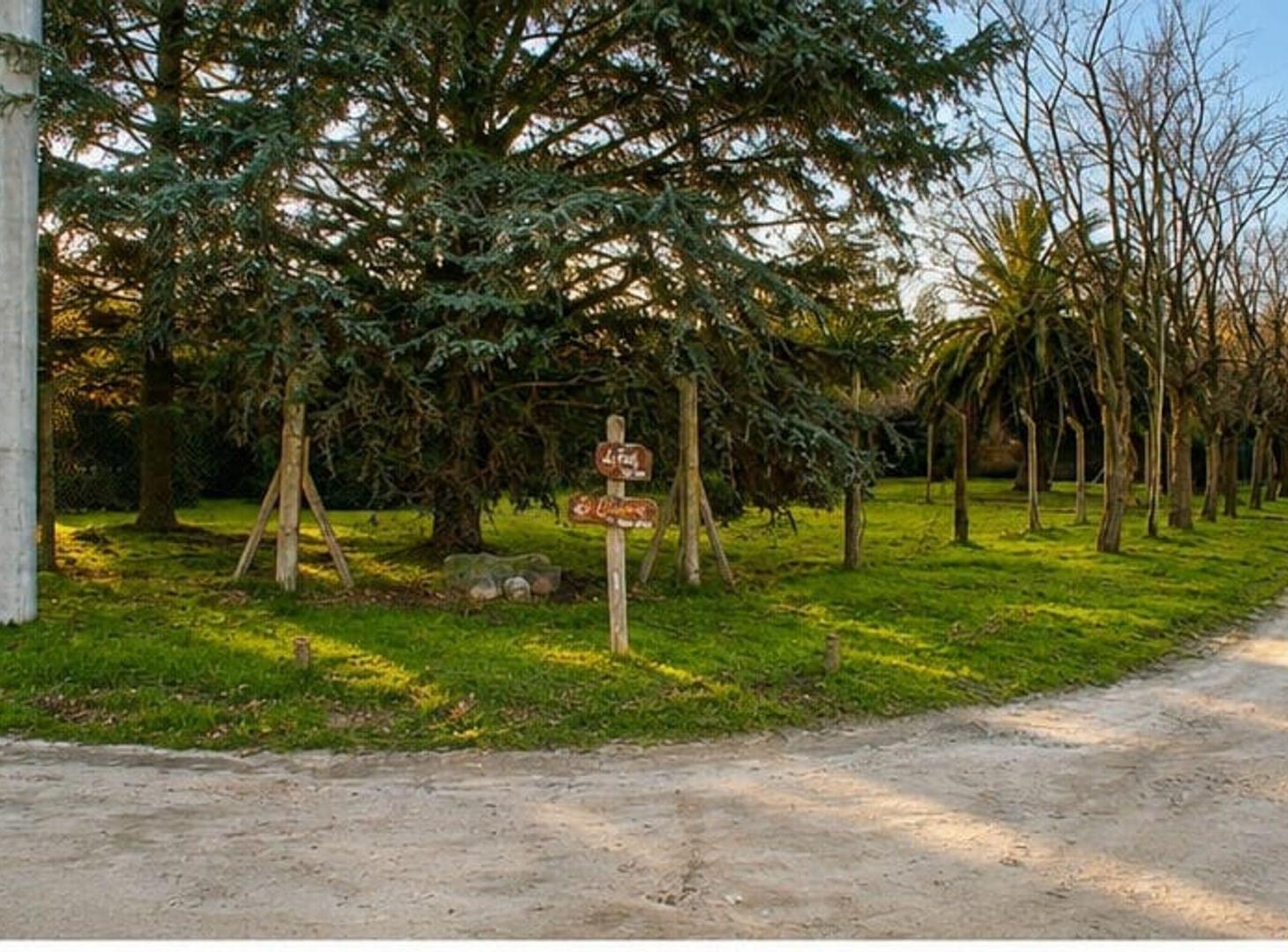 Foto de Venta Lote ubicado en la mejor zona de Colinalegre, imagen 1