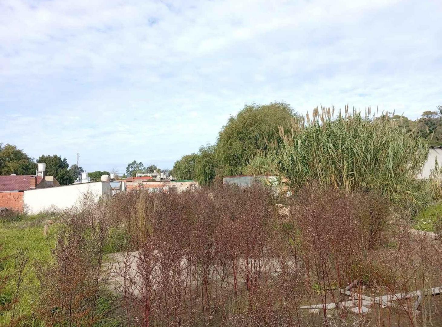Foto de VENTA TERRENO CON CONSTRUCCION FARO NORTE, imagen 3
