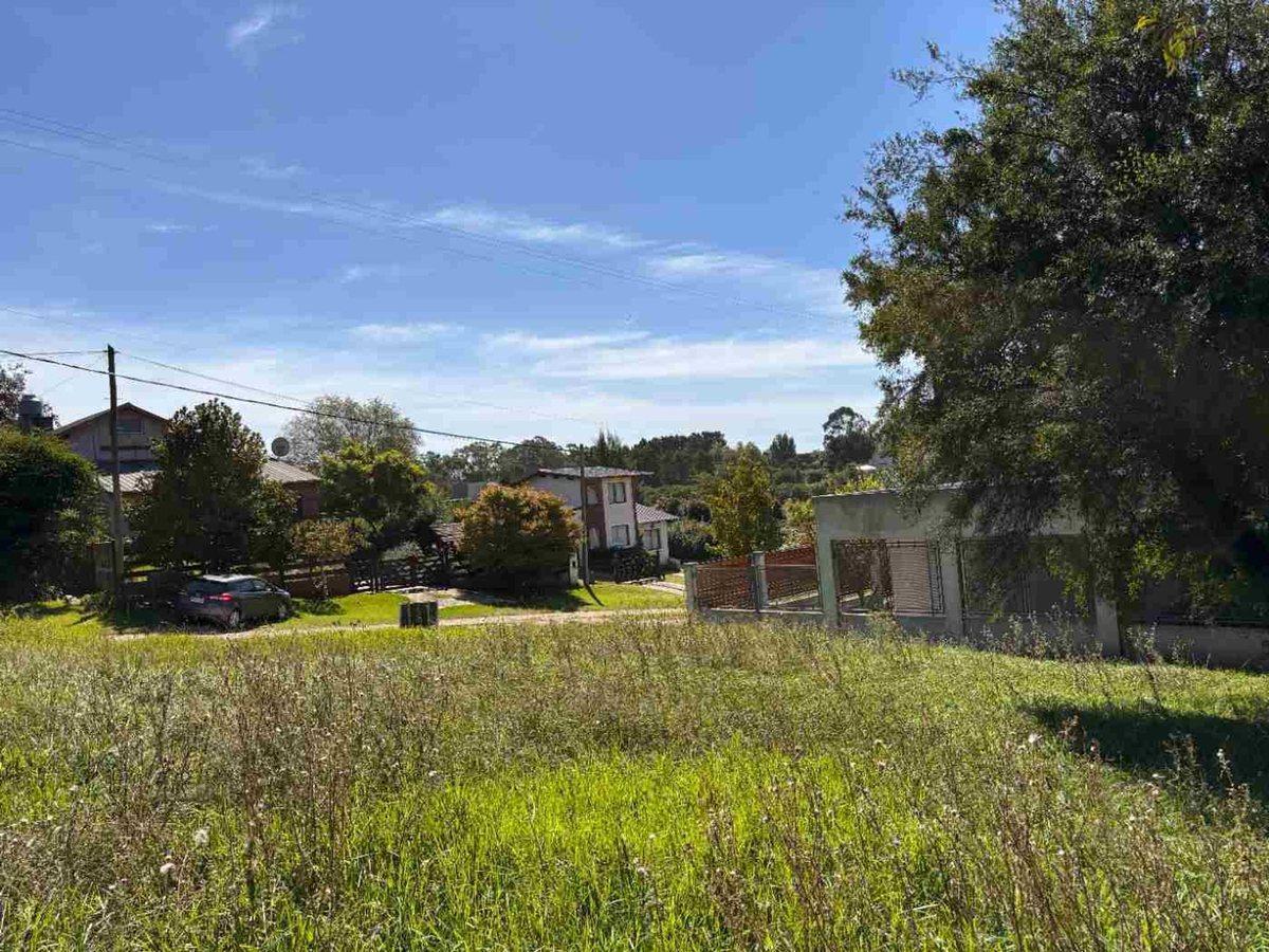 Foto de VENTA LOTE 600 MTS2 SIERRA DE LOS PADRES, imagen 2
