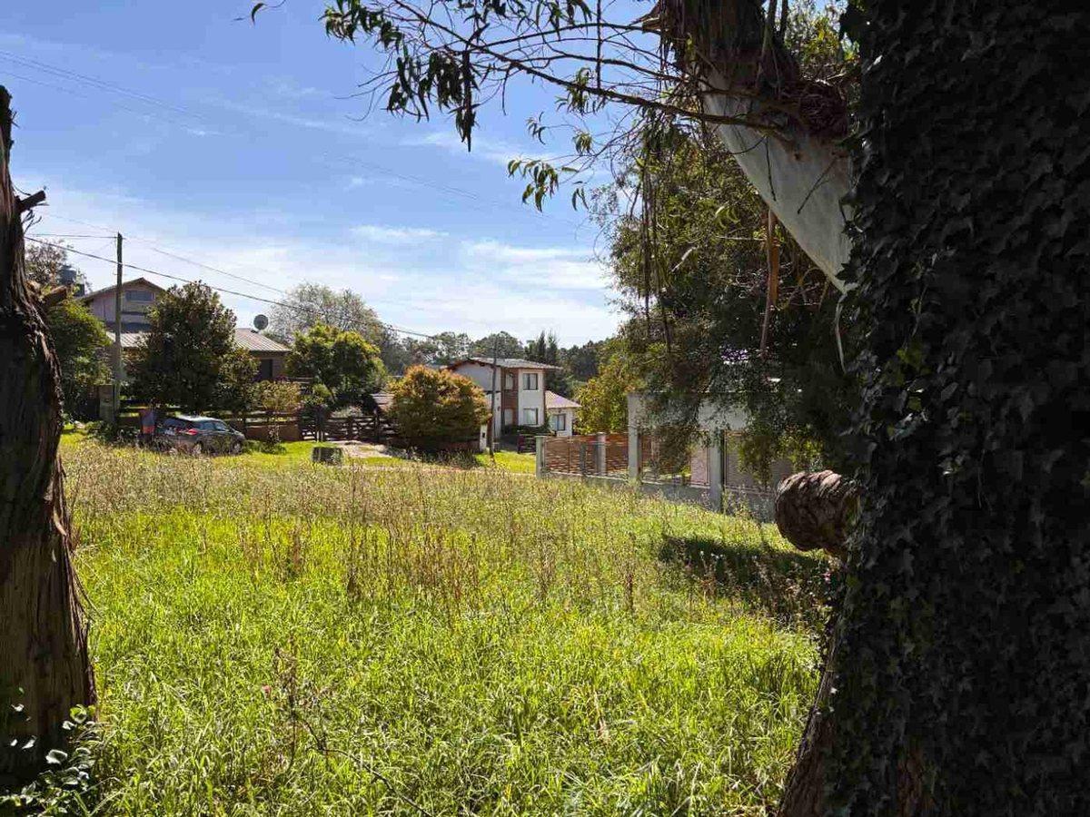 Foto de VENTA LOTE 600 MTS2 SIERRA DE LOS PADRES, imagen 4