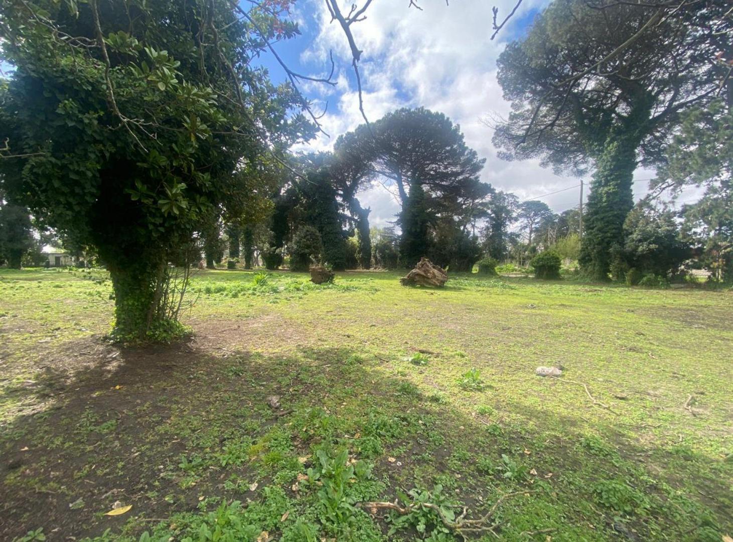 Foto de VENTA 2 LOTES EN BLOCK 4183 M2 PARQUE PALERMO, imagen 2