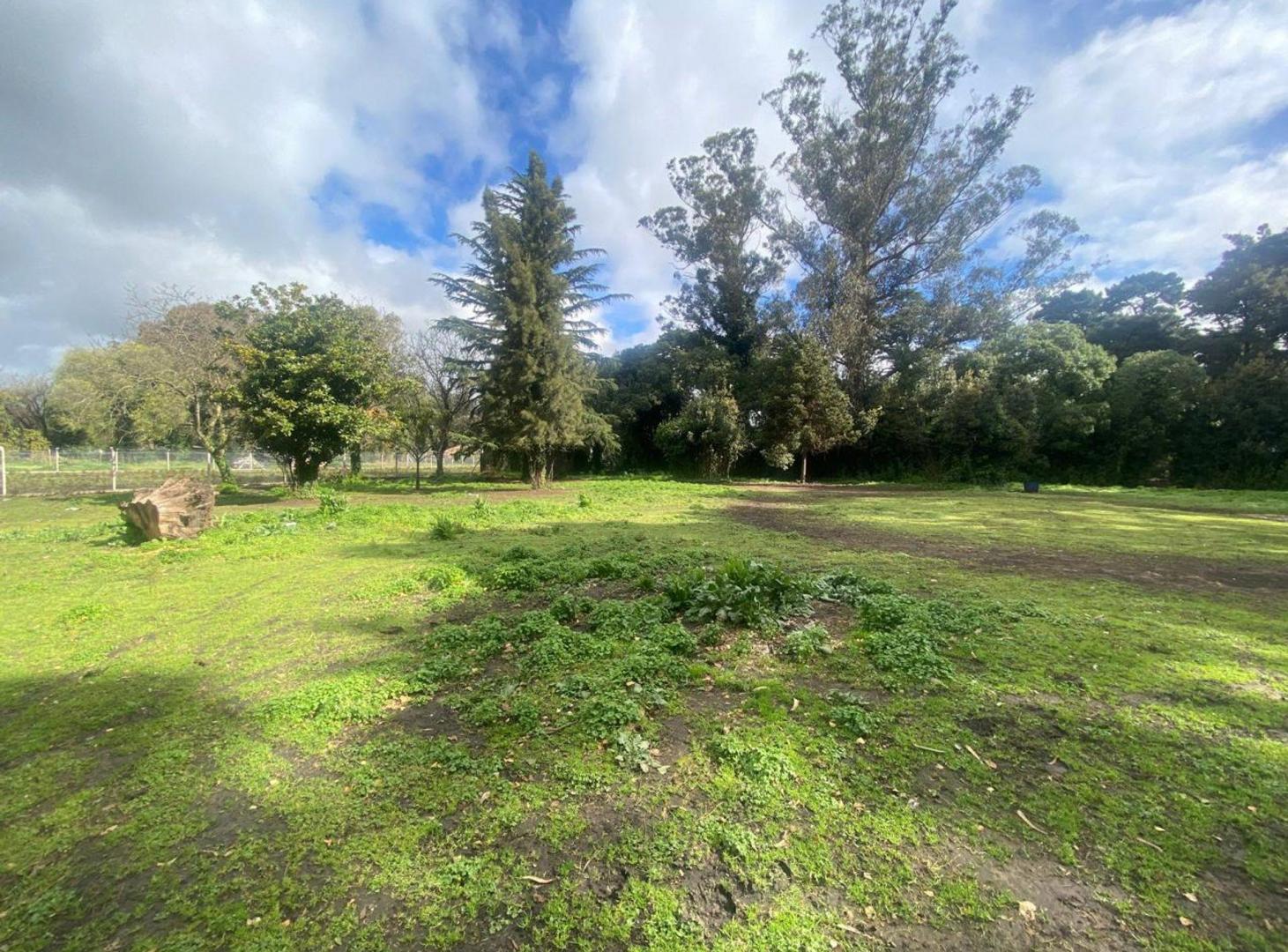 Foto de VENTA 2 LOTES EN BLOCK 4183 M2 PARQUE PALERMO, imagen 5
