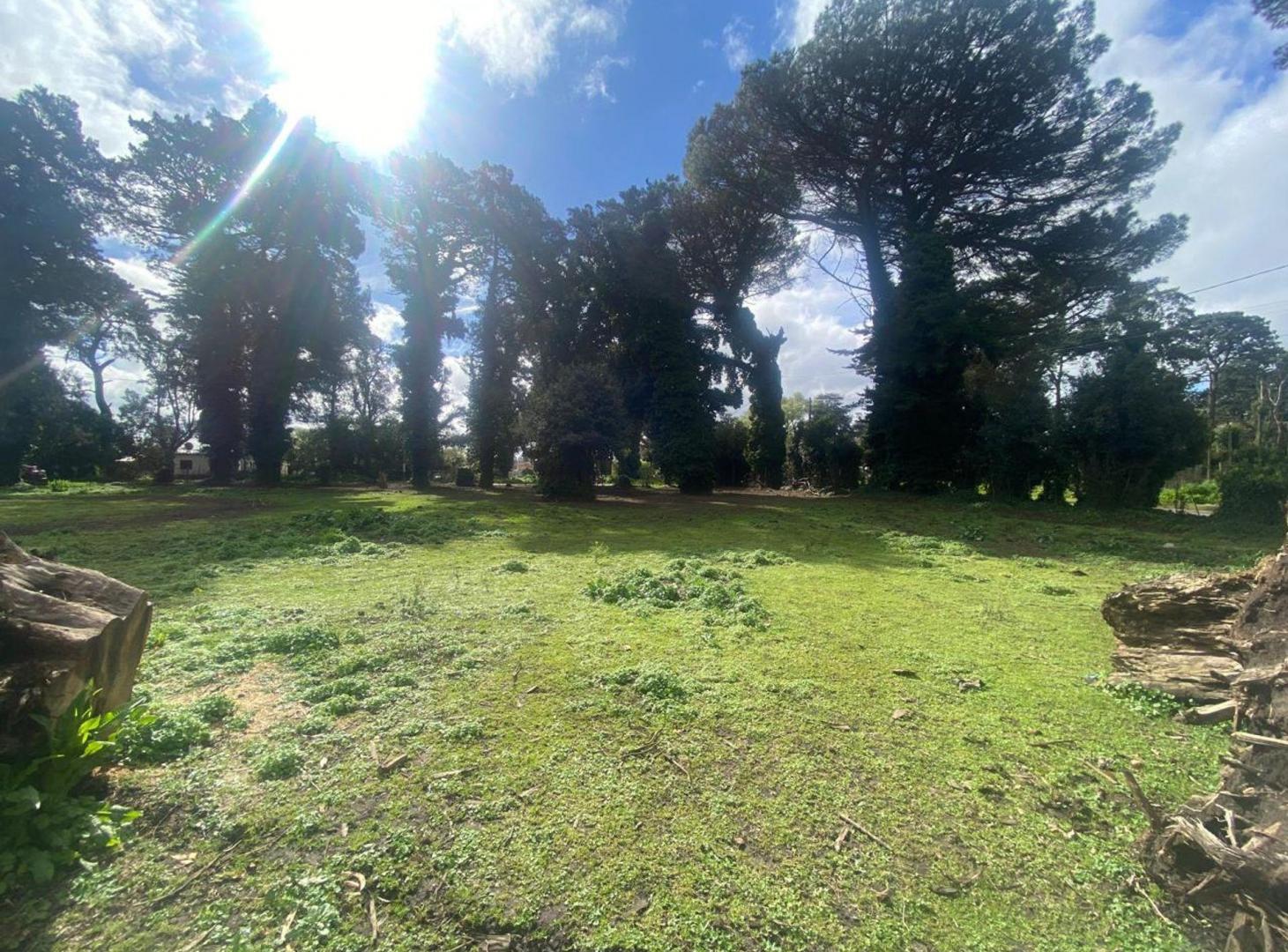 Foto de VENTA 2 LOTES EN BLOCK 4183 M2 PARQUE PALERMO, imagen 4