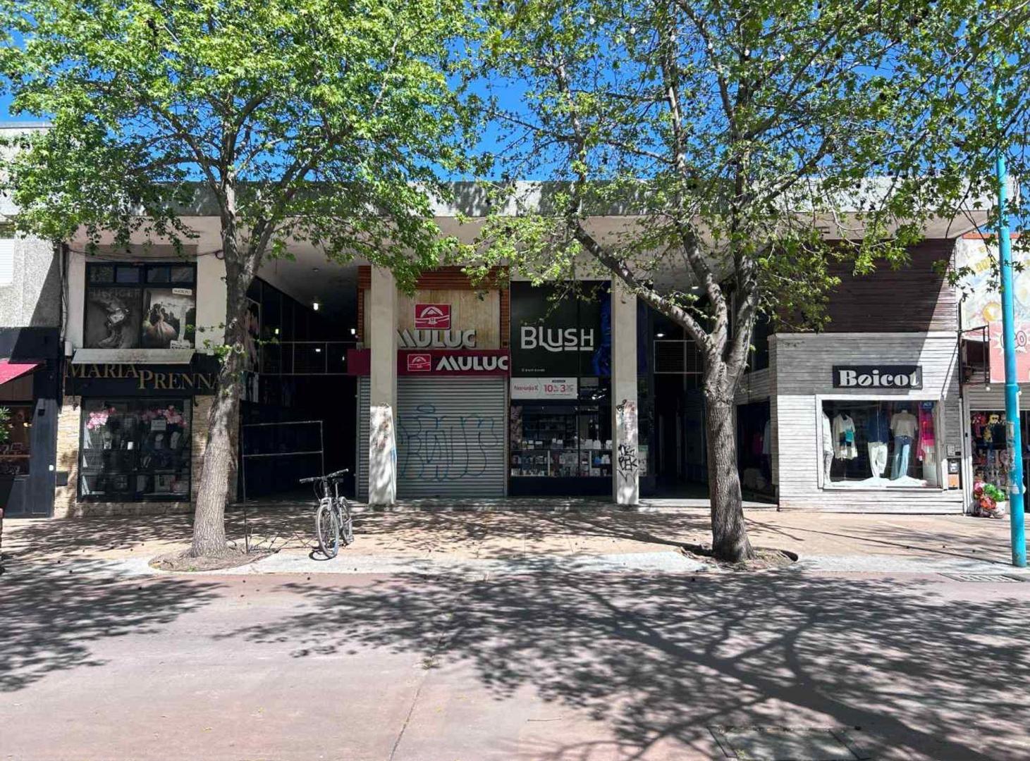 Foto de Venta Local Galeria Miramar, imagen 3