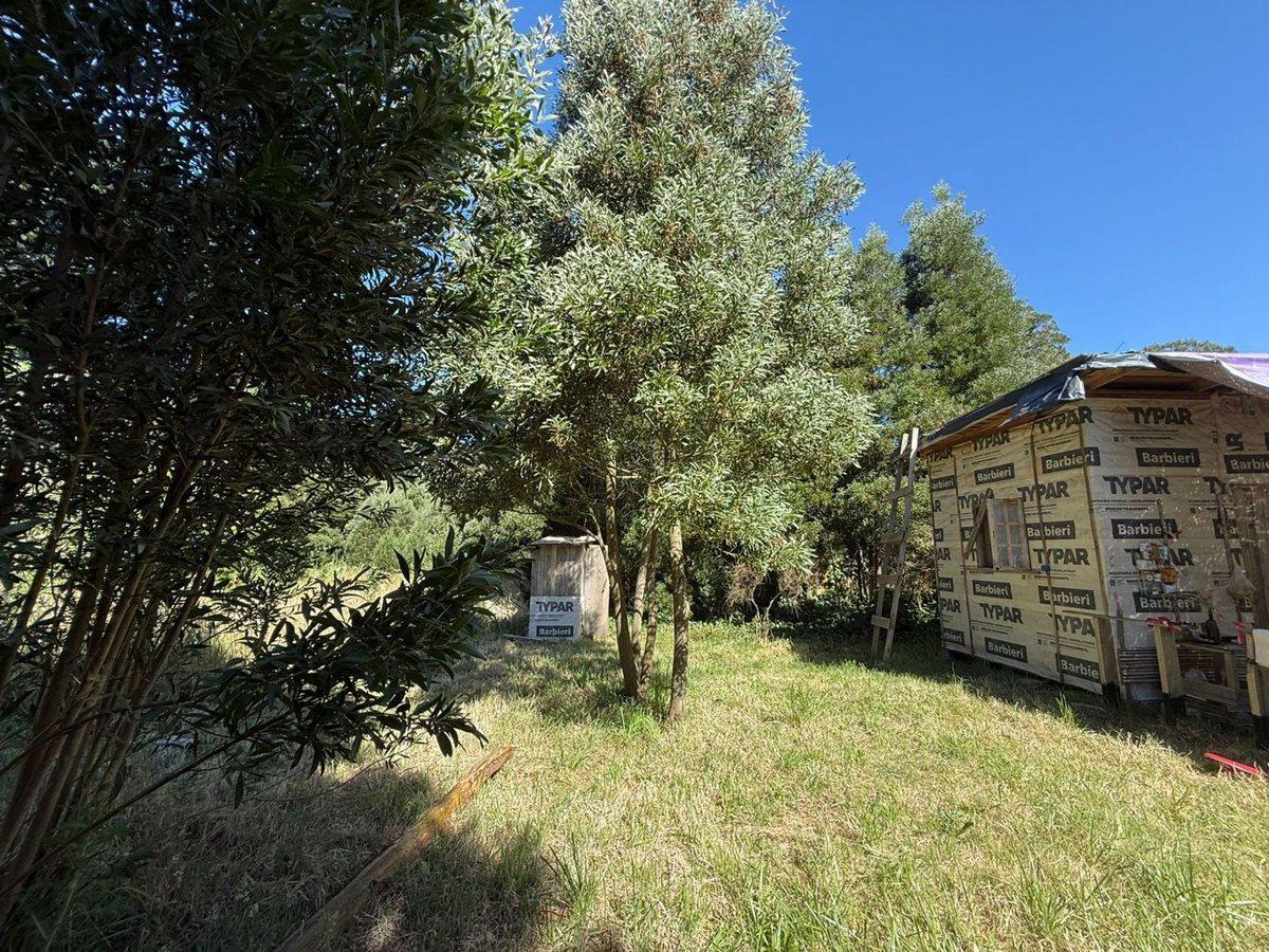 Foto de Venta Lote aprox800m2Barrio Parque Peña,Cedro Azul, imagen 2