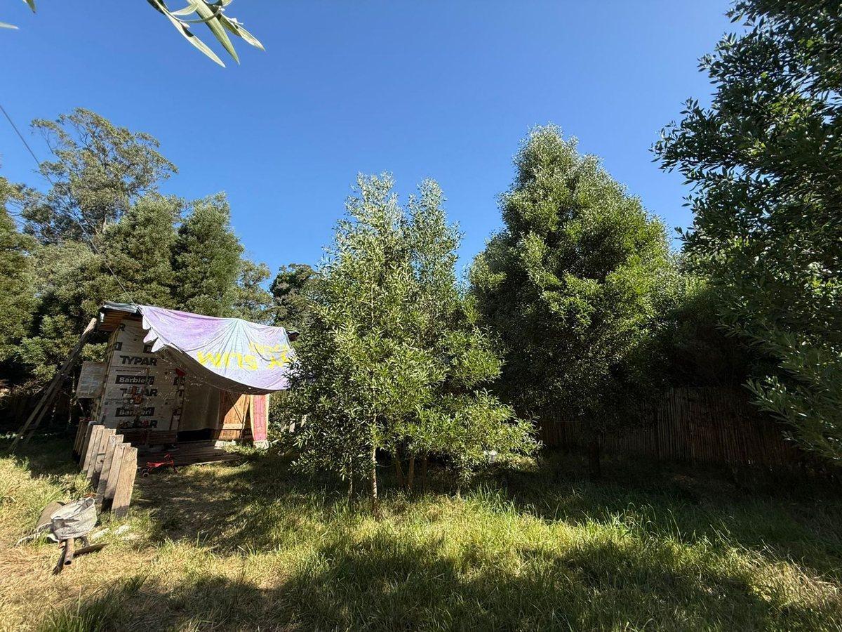 Foto de Venta Lote aprox800m2Barrio Parque Peña,Cedro Azul, imagen 5