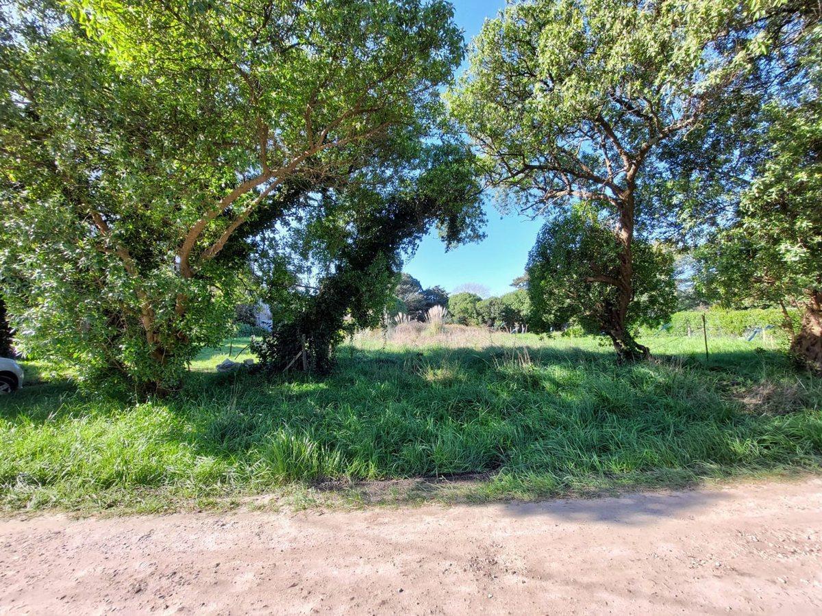 Foto de Venta Lote en Playa Los Lobos, Chapadmalal, imagen 1