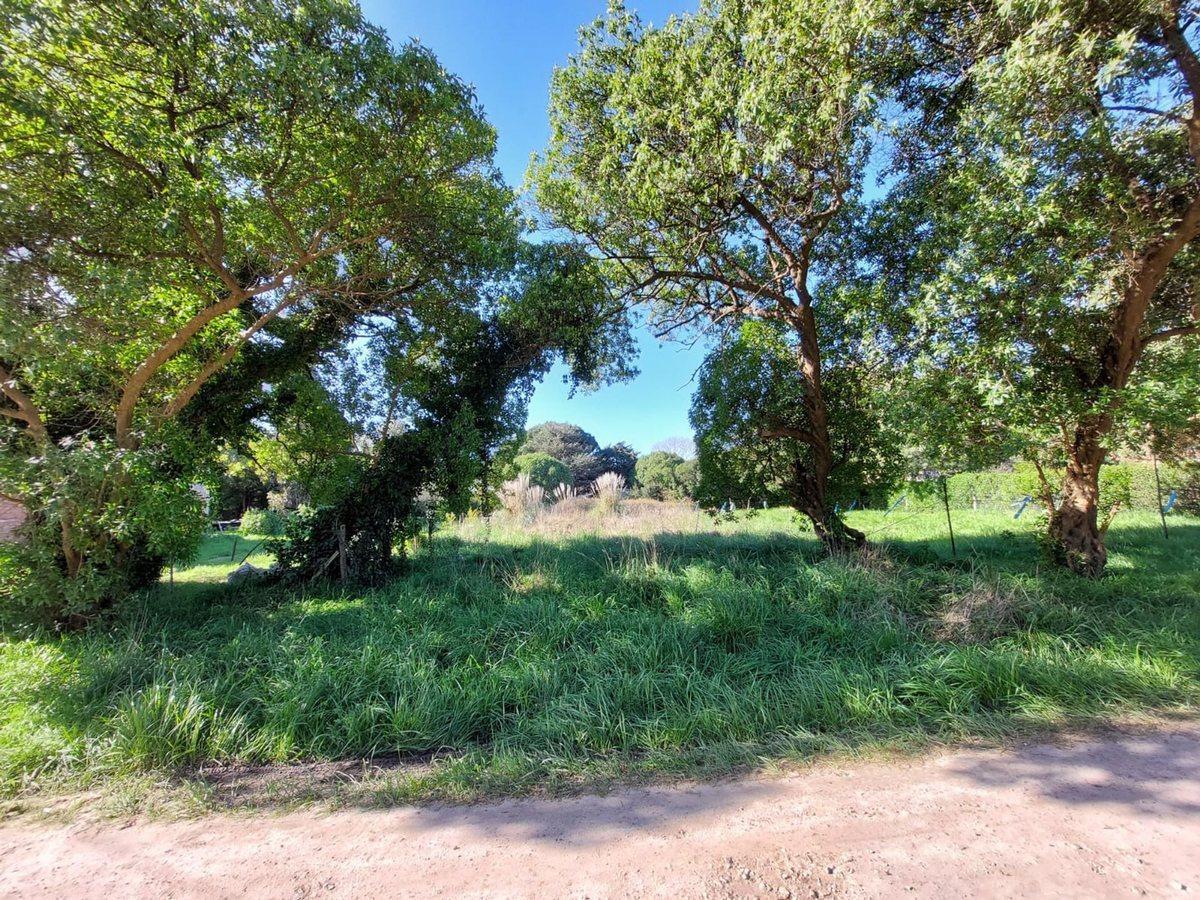 Foto de Venta Lote en Playa Los Lobos, Chapadmalal, imagen 2