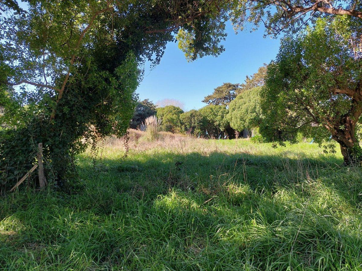 Foto de Venta Lote en Playa Los Lobos, Chapadmalal, imagen 3