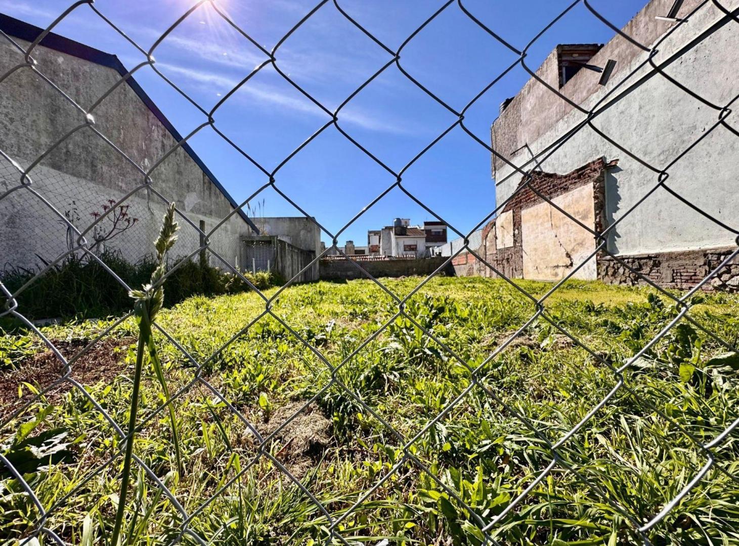 Foto de Venta de lote sobre Av. Mario Bravo -Punta Mogotes, imagen 4