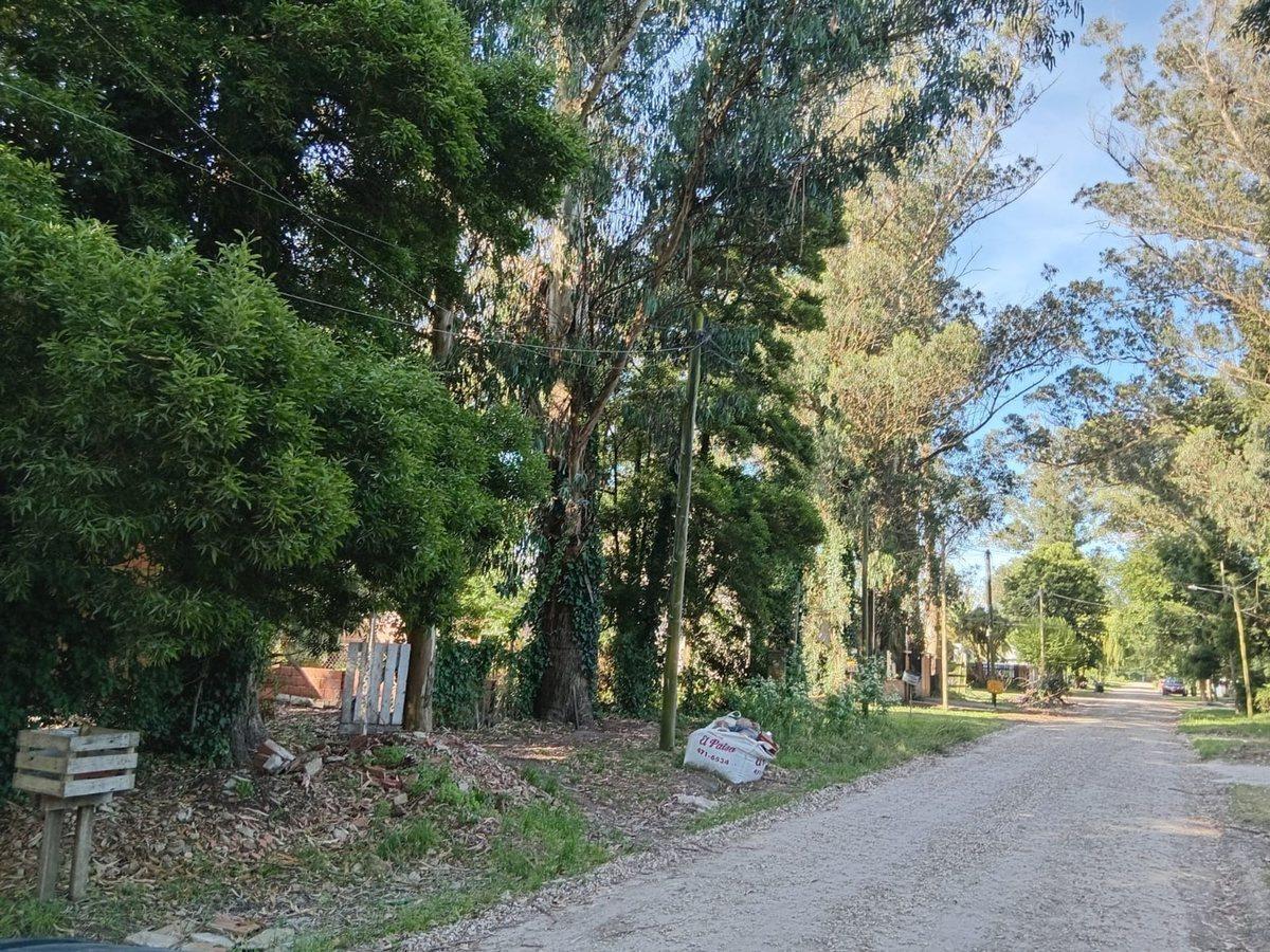 Foto de VENTA LOTE LAS DALIAS 426 M2, imagen 4