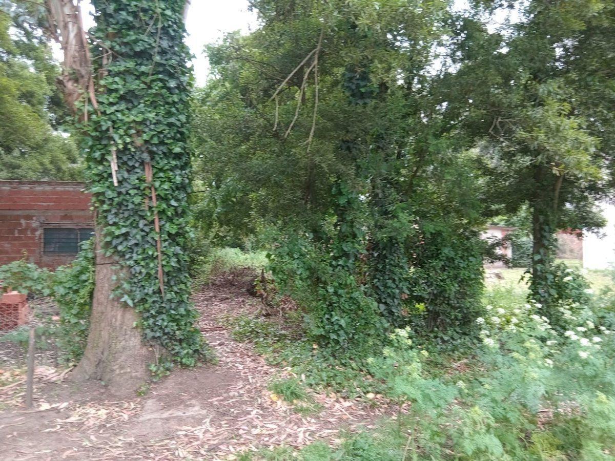 Foto de VENTA LOTE LAS DALIAS 426 M2, imagen 2