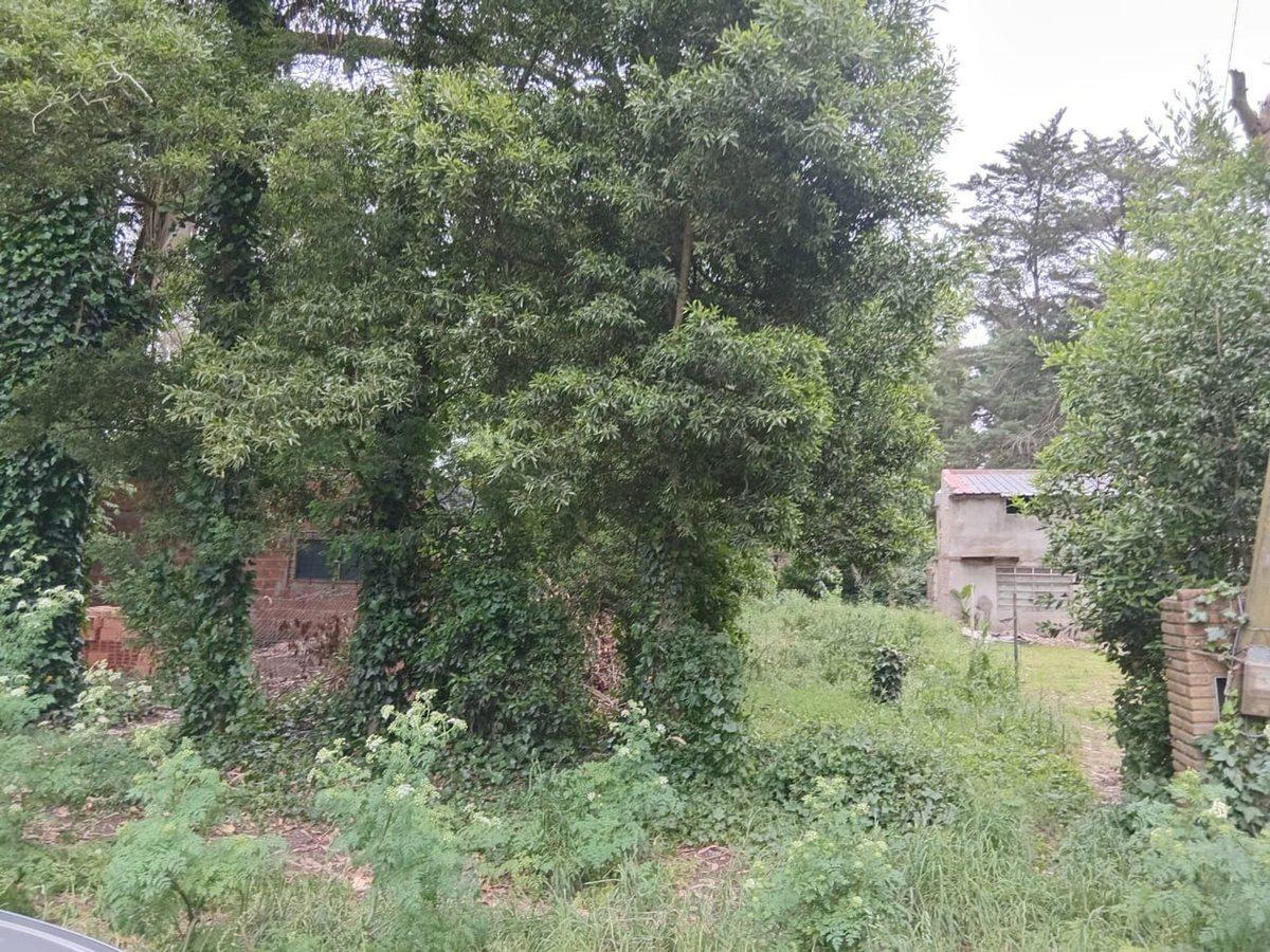 Foto de VENTA LOTE LAS DALIAS 426 M2, imagen 5