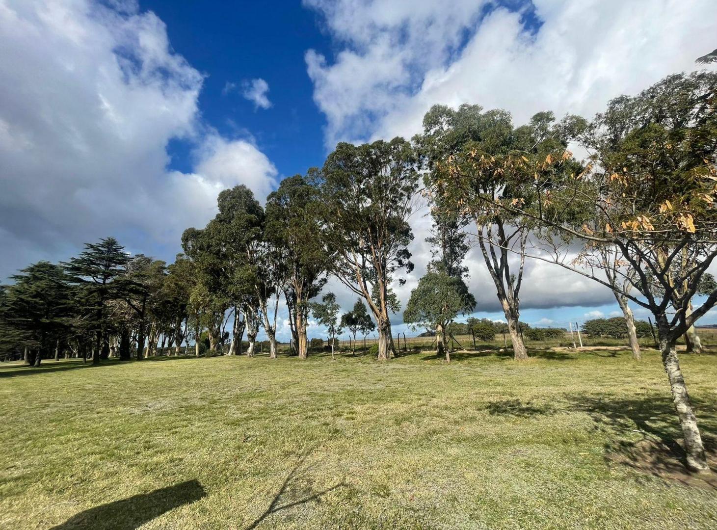Foto de VENTA LOTE COUNTRY TIERRA Y MAR, imagen 4