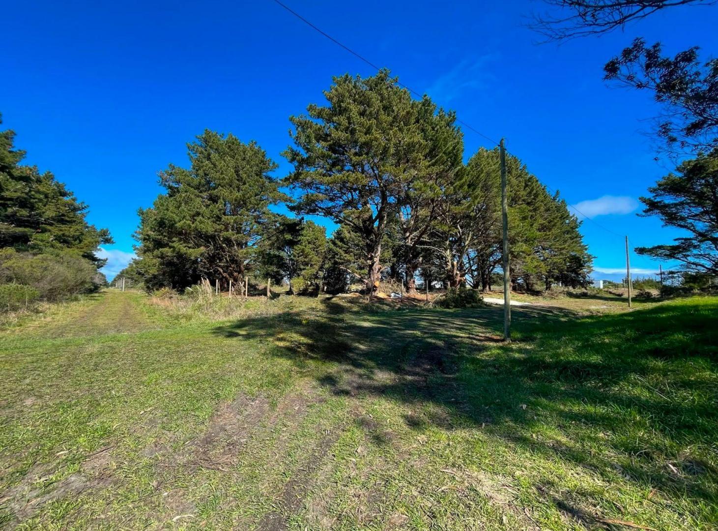 Foto de VENTA TERRENO 525 m² EN EL MARQUESADO, imagen 4