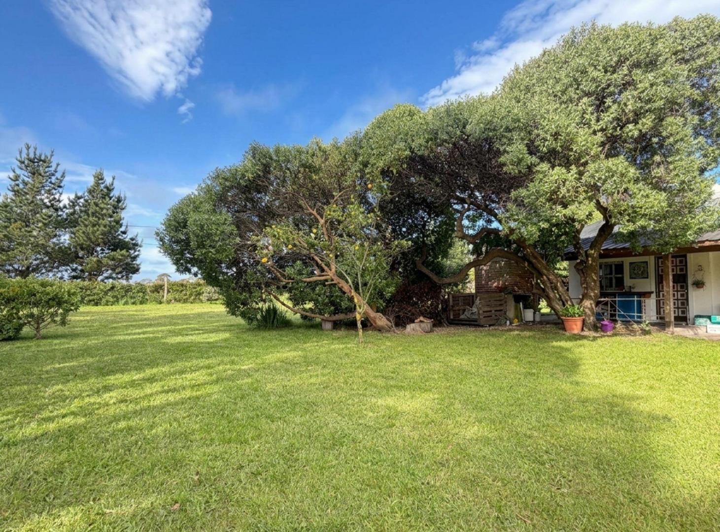 Foto de VENTA DE CASA QUINTA CON LOTE PROP. CERCA DEL MAR, imagen 2