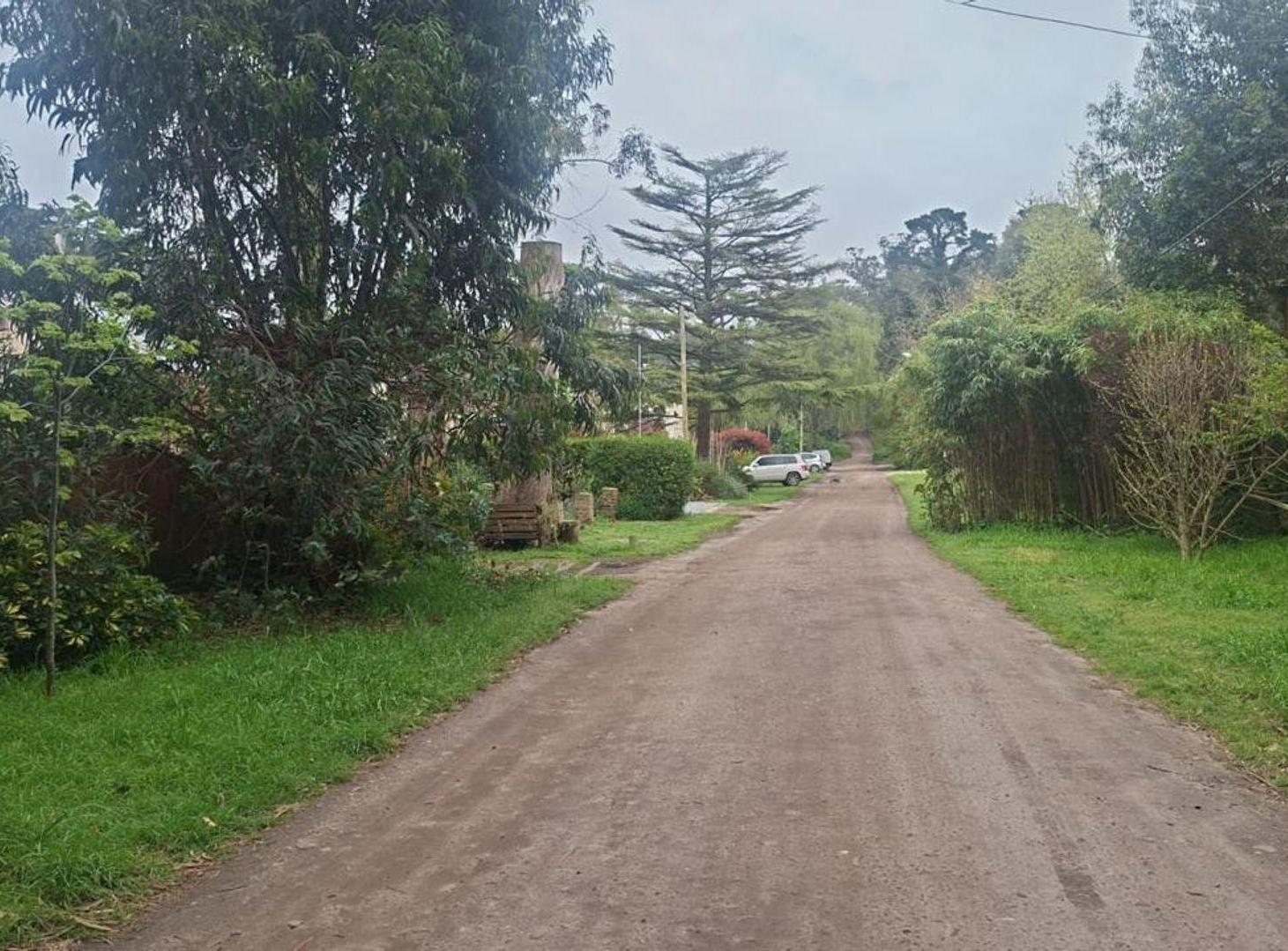 Foto de VENTA LOTE BOSQUE PERALTA RAMOS, imagen 5