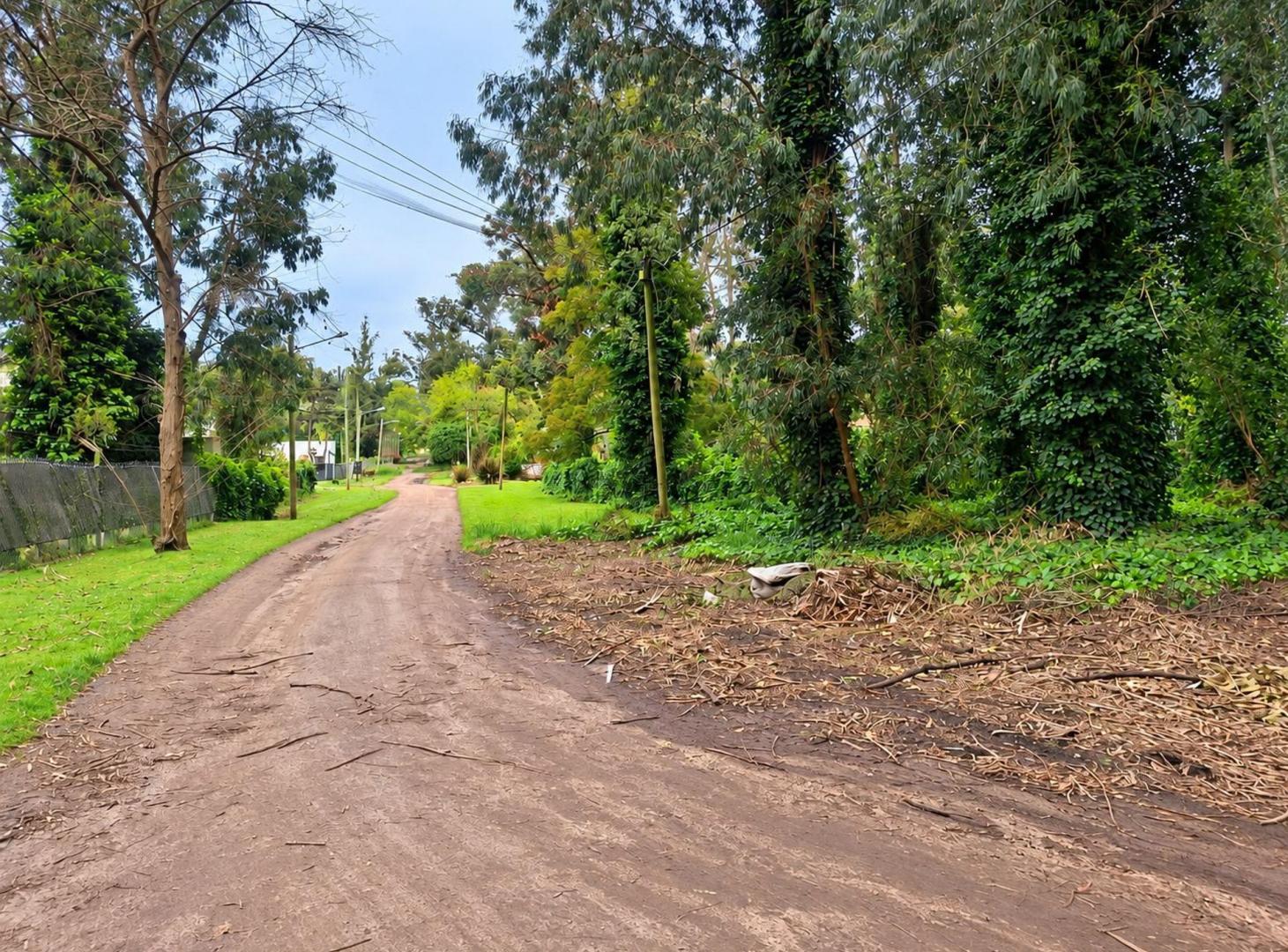 Foto de la propiedad en Los Charruas y Tupac Amaru 0, Bosque Peralta Ramos, Mar