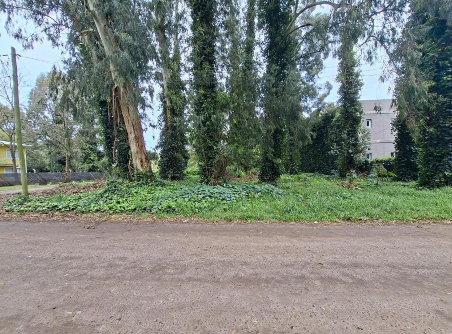 Foto de VENTA LOTE BOSQUE PERALTA RAMOS, imagen 2