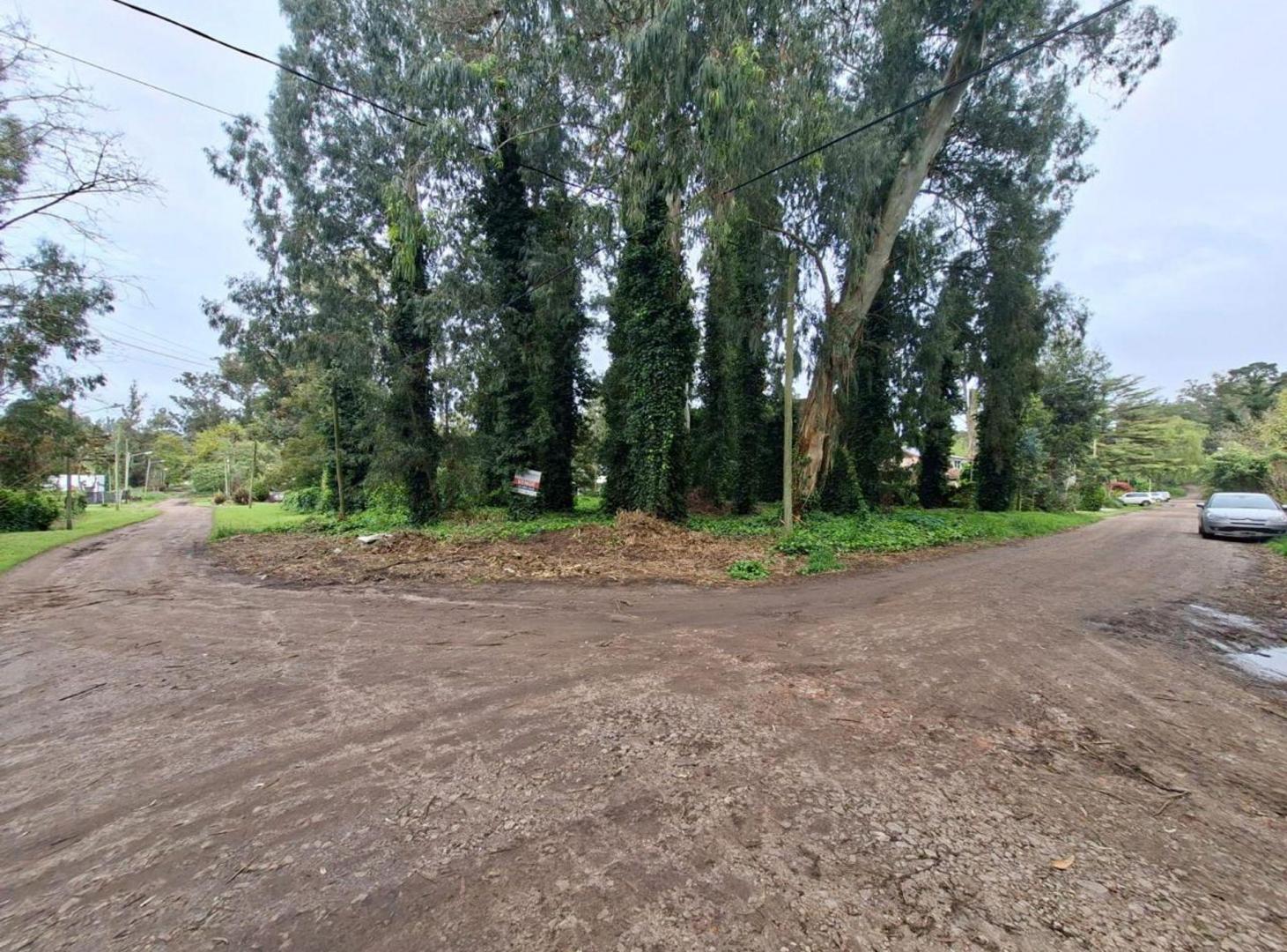 Foto de VENTA LOTE BOSQUE PERALTA RAMOS, imagen 1