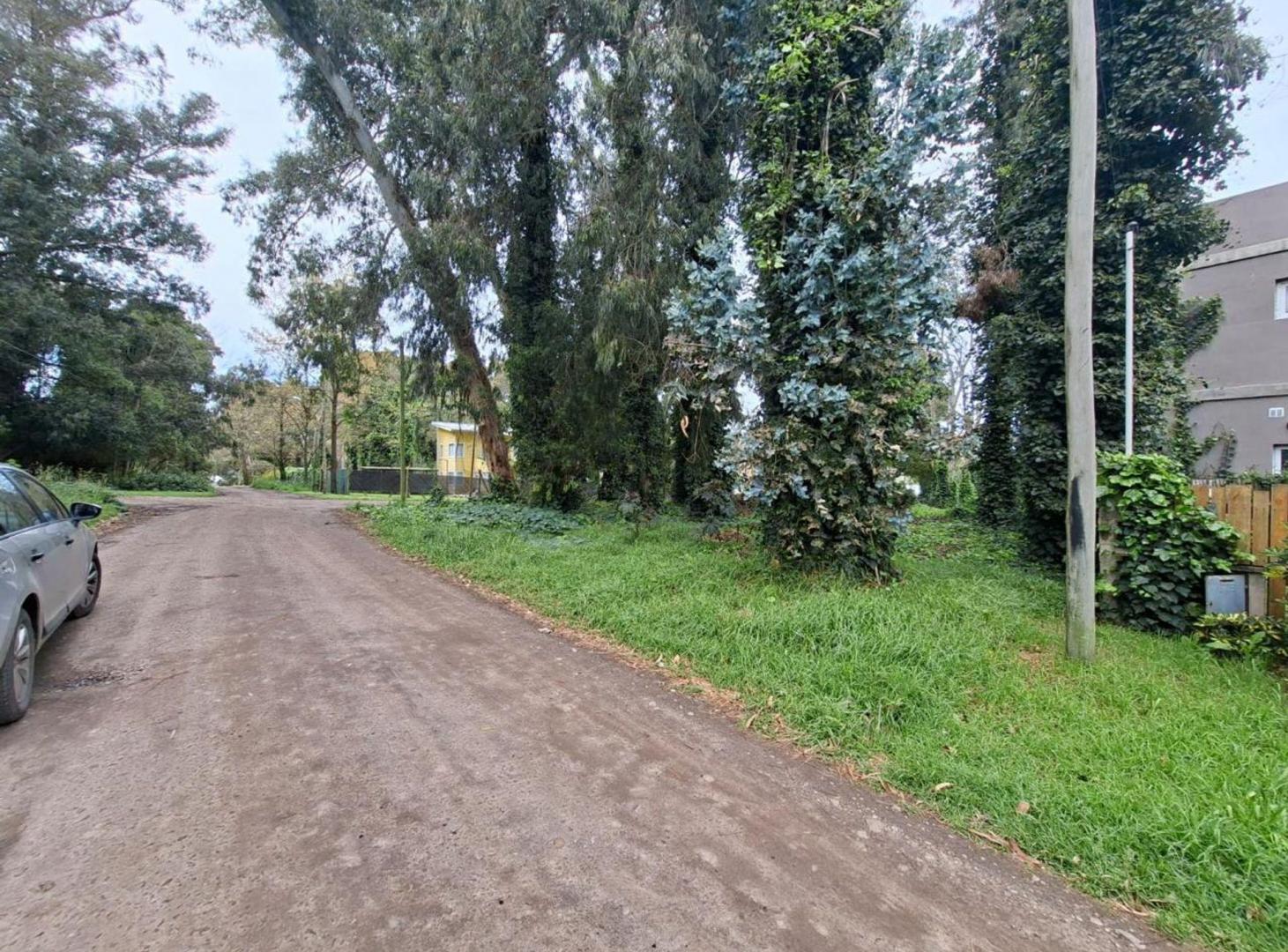 Foto de VENTA LOTE BOSQUE PERALTA RAMOS, imagen 3