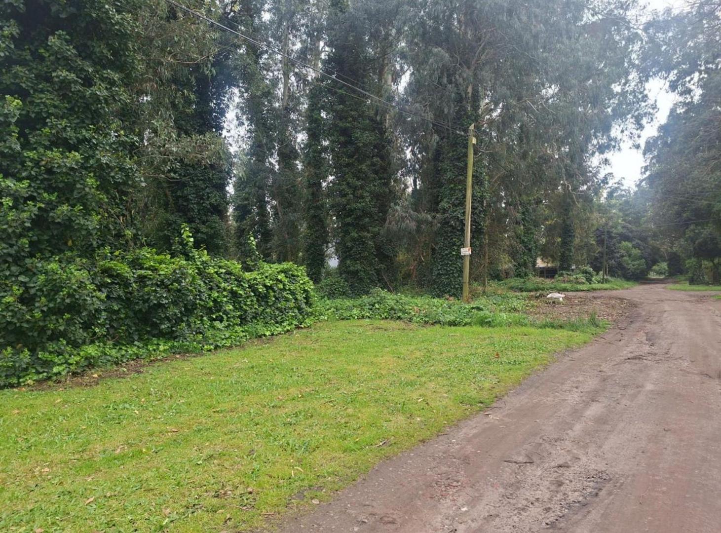 Foto de VENTA LOTE BOSQUE PERALTA RAMOS, imagen 4