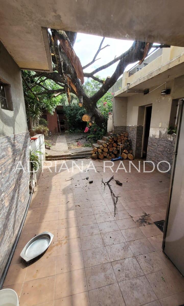 San Nicolás 1832 - Excelente Lote de 8.53 X 40.33 2