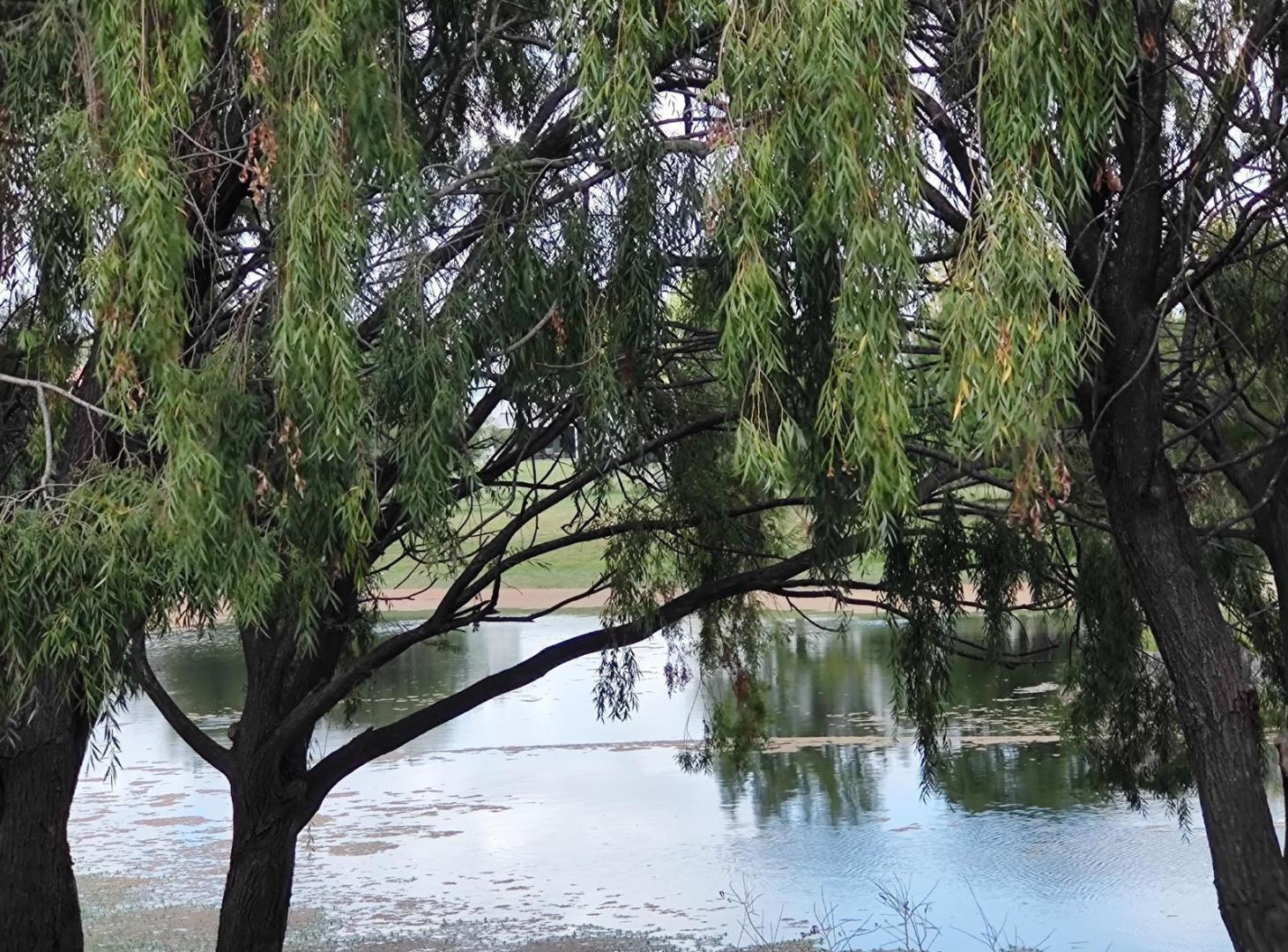Foto de Zona Cardales | Chacras de La Reserva, imagen 2