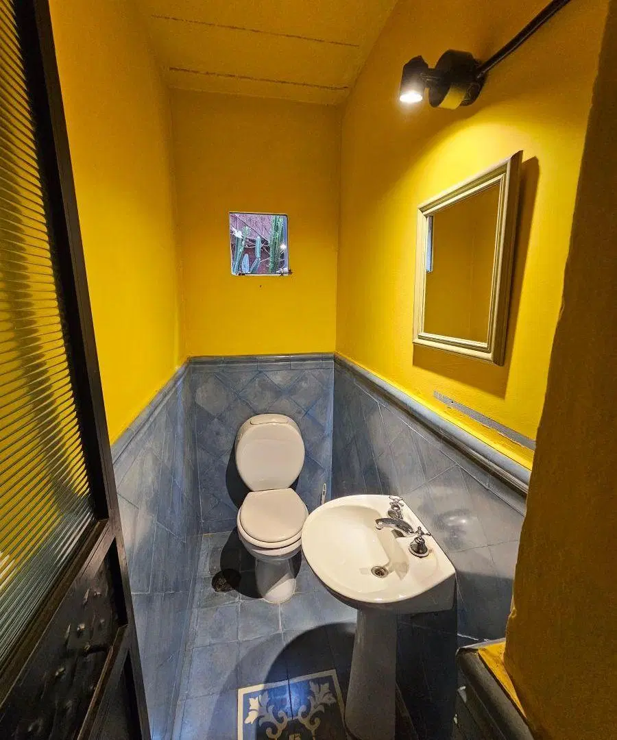 Exclusivo Local Comercial (con opcion vivienda) en Lo Mejor de Palermo Soho 3