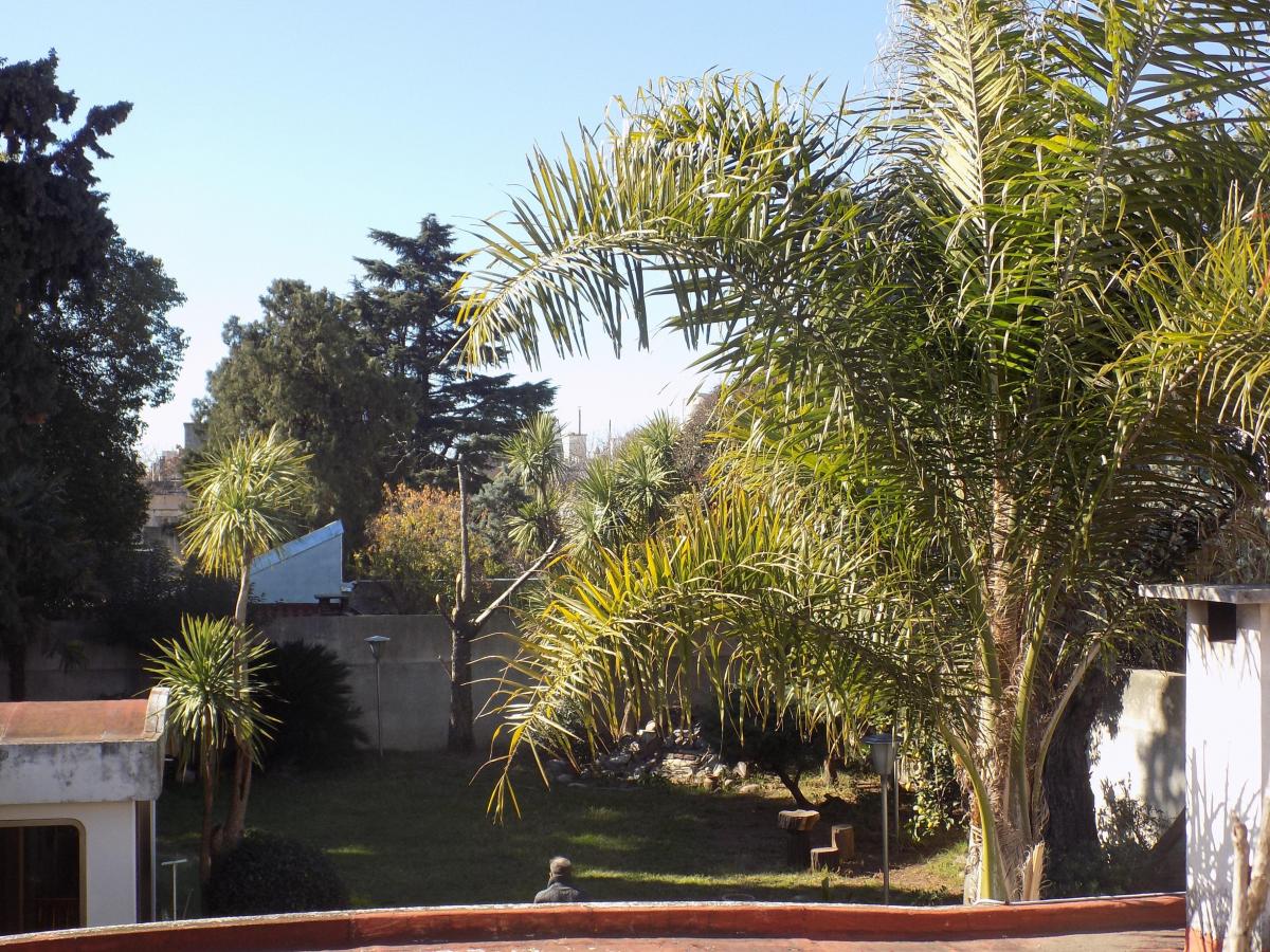 Espectacular Lote de 17, 32 m X 50 m 5