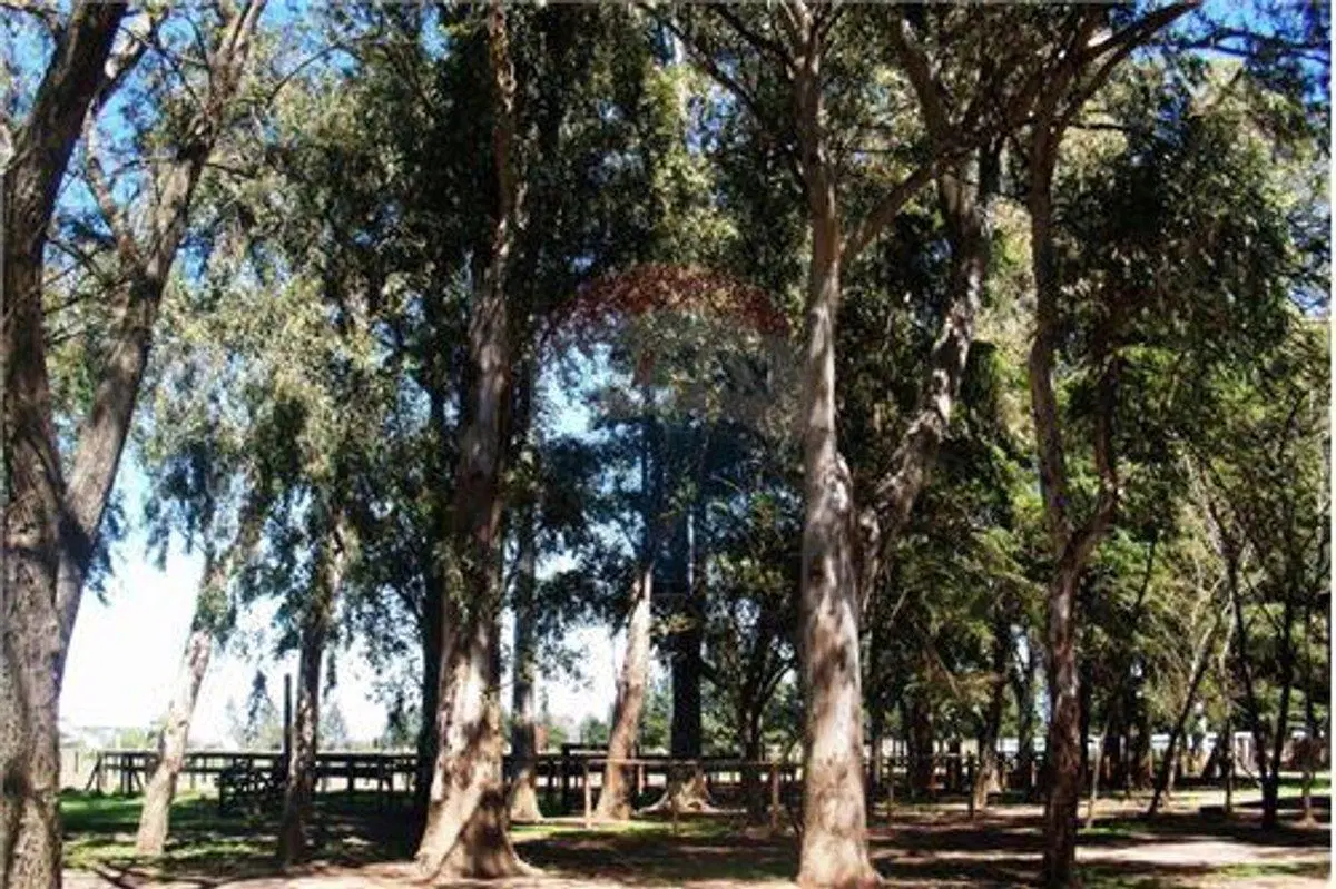 TERRENO 11 ha LOGÍSTICA RUTA 6 GRAL RODRIGUEZ 5