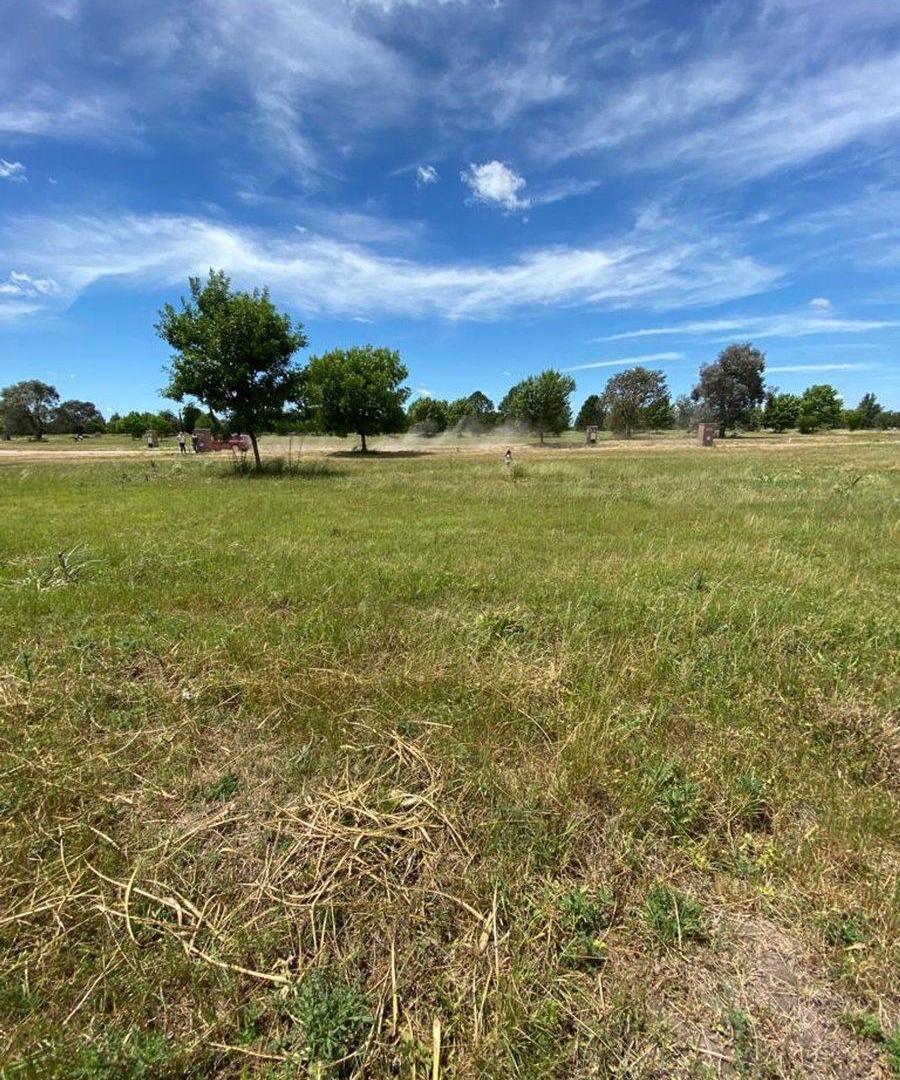 OPORTUNIDAD- LOTE INTERNO al bosque - Mirabosques
