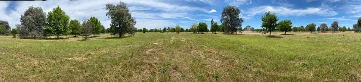 OPORTUNIDAD- LOTE INTERNO al bosque - Mirabosques 5