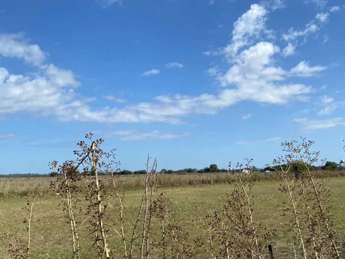 Venta de Lote 9049 M2-Escalada-Zarate 5