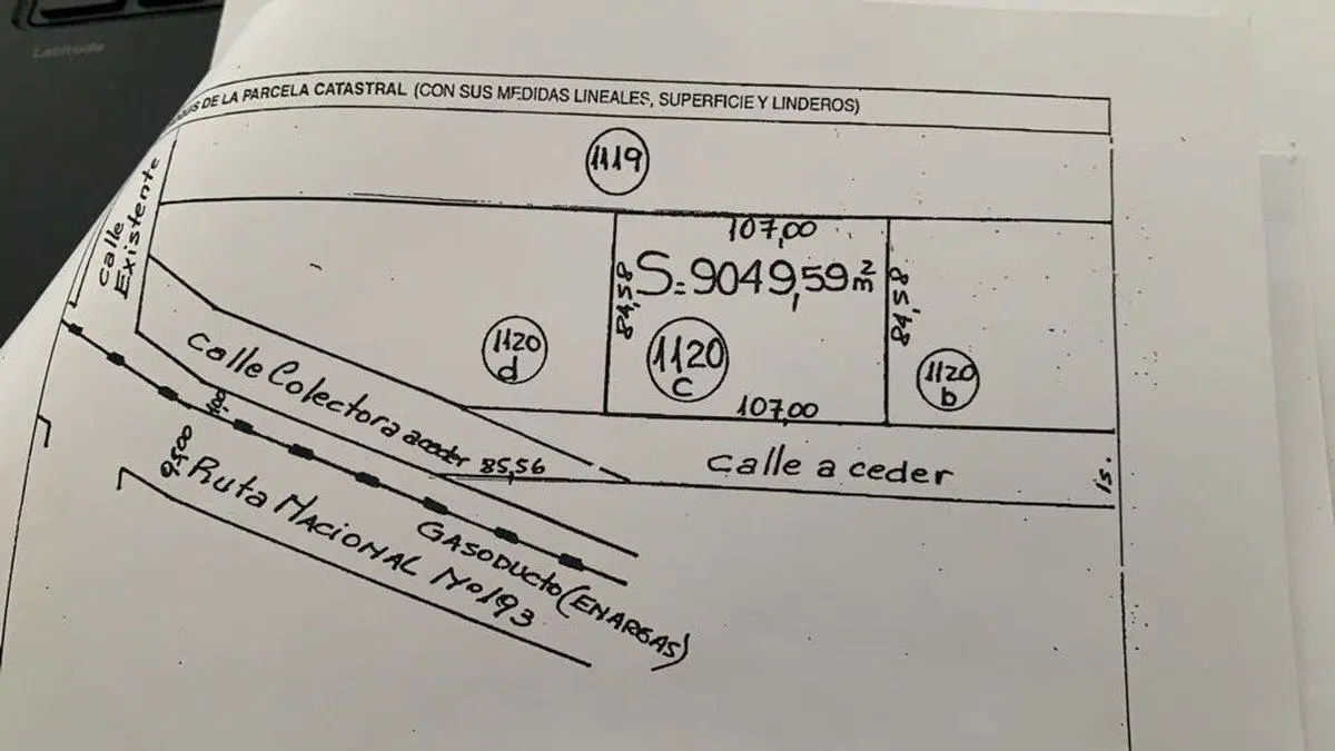 Plano 1