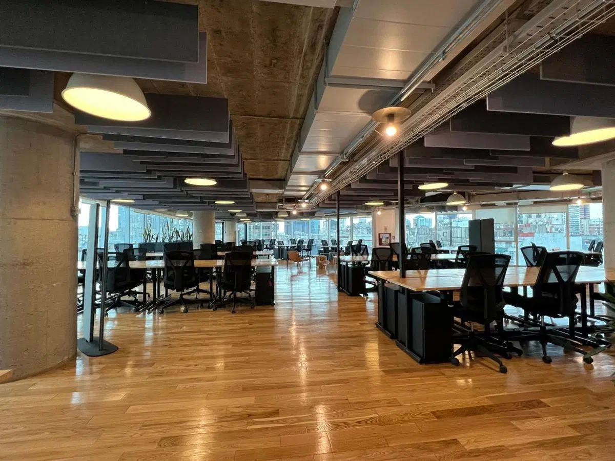Oficina 500m2 4 cocheras equipadas en microcentro 4