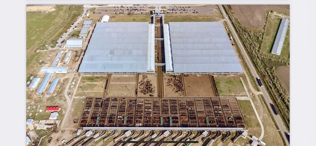 Terreno Lote 2000M2 Mercado Agronegocios Cañuelas 2