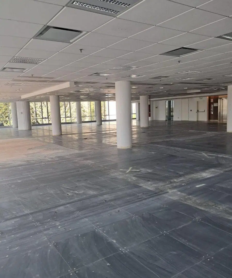 OFICINAS 930 m2 PLANTA LIBRE en OLIVO, 18 cocheras 2