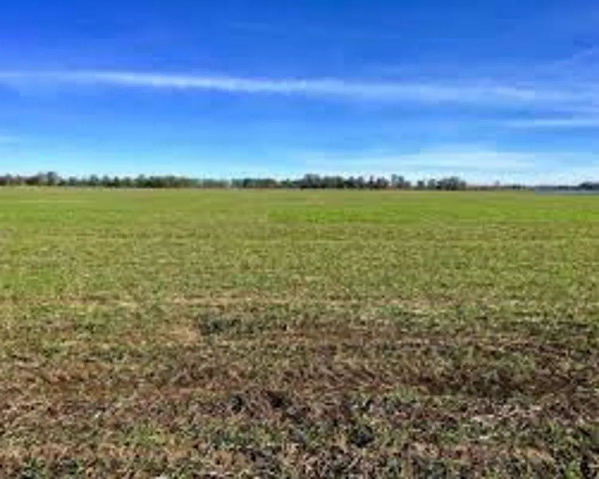 Campo 49has Ganadero Agricola 3