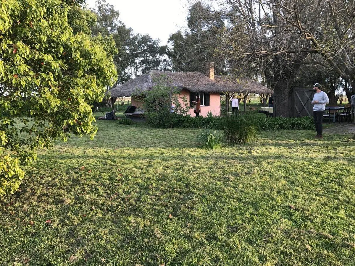 Campo 49has Ganadero Agricola 5