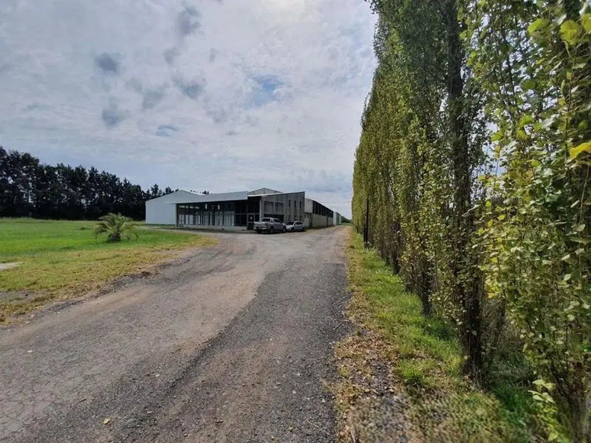 Alquiler Nave Industrial, Mercedes 5